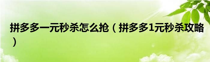 拼多多一元秒杀怎么抢（拼多多1元秒杀攻略）