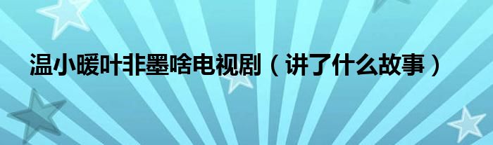 温小暖叶非墨啥电视剧（讲了什么故事）