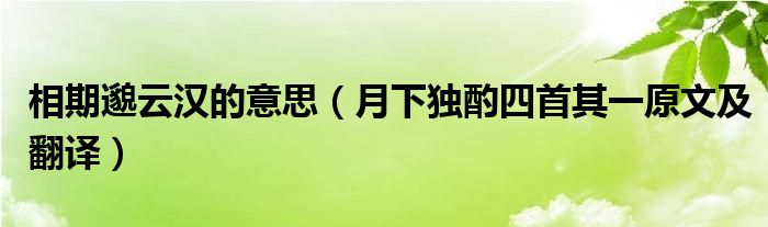 相期邈云汉的意思（月下独酌四首其一原文及翻译）