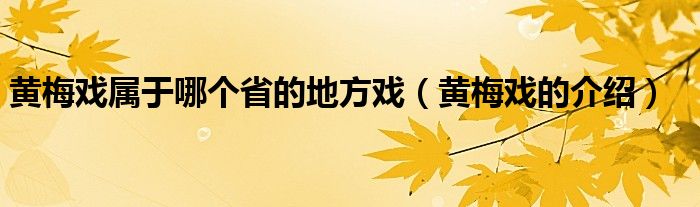 黄梅戏属于哪个省的地方戏（黄梅戏的介绍）