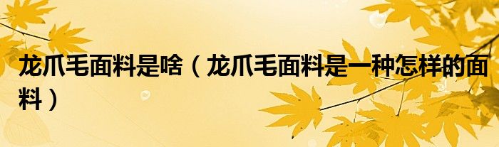 龙爪毛面料是啥（龙爪毛面料是一种怎样的面料）