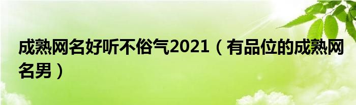 成熟网名好听不俗气2021（有品位的成熟网名男）