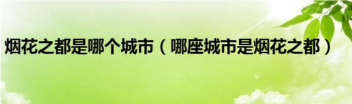 烟花之都是哪个城市（哪座城市是烟花之都）