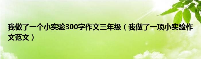 我做了一个小实验300字作文三年级（我做了一项小实验作文范文）