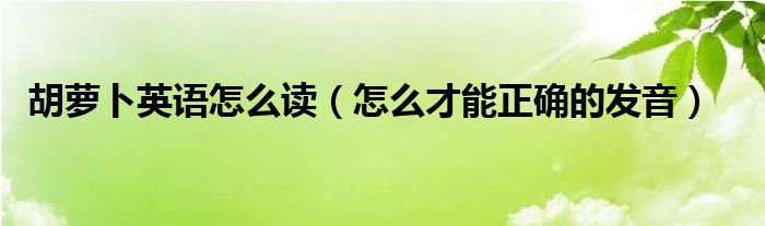 胡萝卜英语怎么读（怎么才能正确的发音）