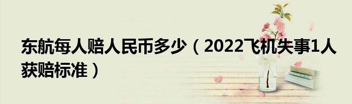 东航每人赔人民币多少（2022飞机失事1人获赔标准）