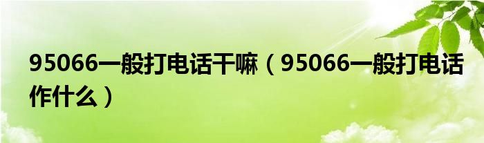 95066一般打电话干嘛（95066一般打电话作什么）