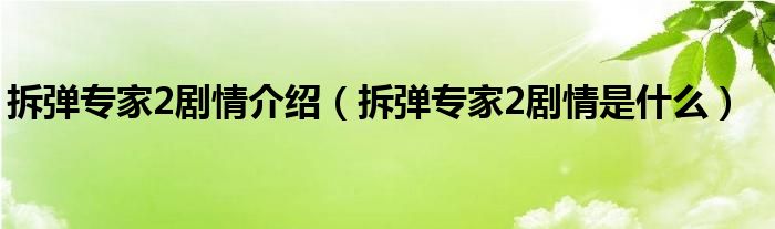 拆弹专家2剧情介绍（拆弹专家2剧情是什么）