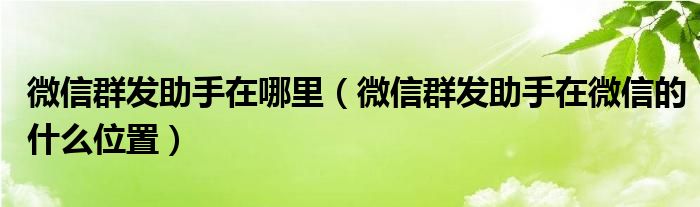 微信群发助手在哪里（微信群发助手在微信的什么位置）