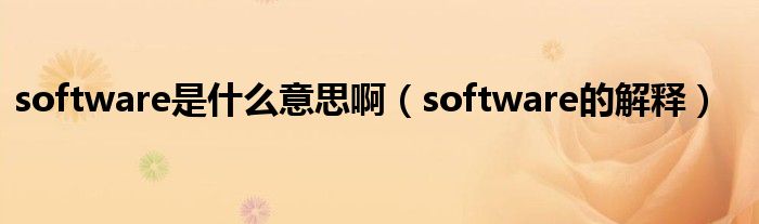 software是什么意思啊（software的解释）