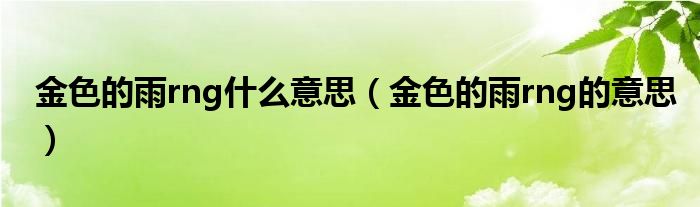 金色的雨rng什么意思（金色的雨rng的意思）