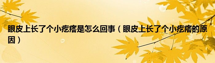 眼皮上长了个小疙瘩是怎么回事（眼皮上长了个小疙瘩的原因）