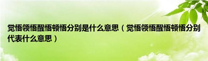 觉悟领悟醒悟顿悟分别是什么意思（觉悟领悟醒悟顿悟分别代表什么意思）