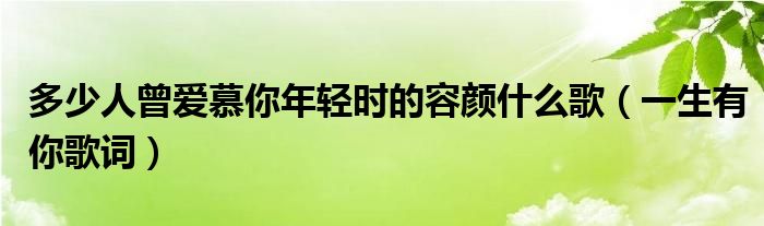 多少人曾爱慕你年轻时的容颜什么歌（一生有你歌词）