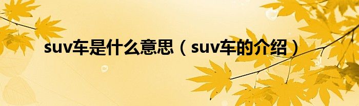 suv车是什么意思（suv车的介绍）