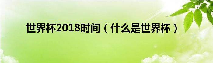 世界杯2018时间（什么是世界杯）