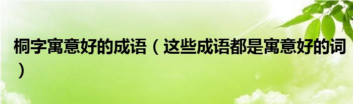 桐字寓意好的成语（这些成语都是寓意好的词）