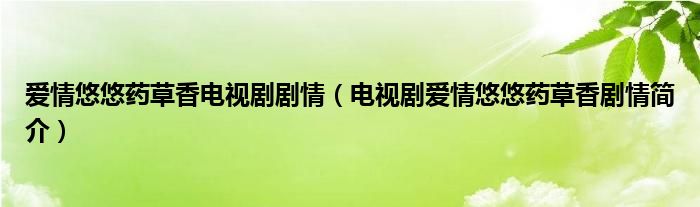 爱情悠悠药草香电视剧剧情（电视剧爱情悠悠药草香剧情简介）