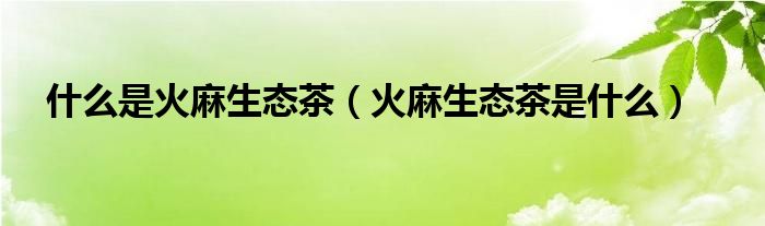 什么是火麻生态茶（火麻生态茶是什么）