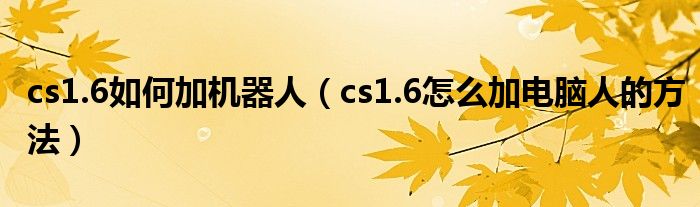 cs1.6如何加机器人（cs1.6怎么加电脑人的方法）