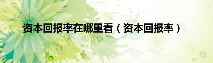 资本回报率在哪里看（资本回报率）