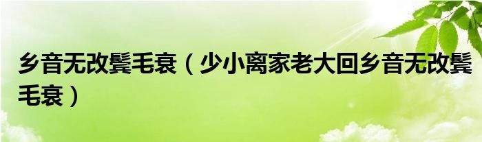 乡音无改鬓毛衰（少小离家老大回乡音无改鬓毛衰）