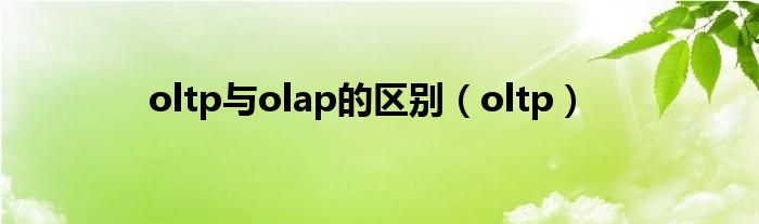 oltp与olap的区别（oltp）