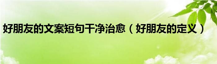 好朋友的文案短句干净治愈（好朋友的定义）