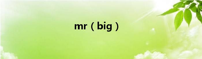 mr（big）