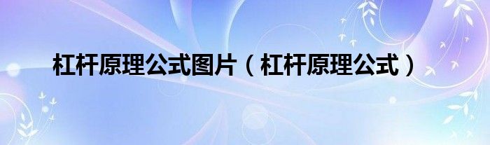 杠杆原理公式图片（杠杆原理公式）