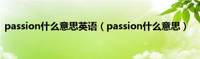 passion什么意思英语（passion什么意思）