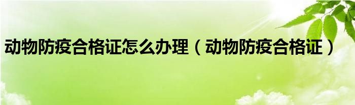 动物防疫合格证怎么办理（动物防疫合格证）