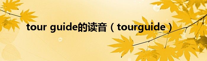 tour guide的读音（tourguide）