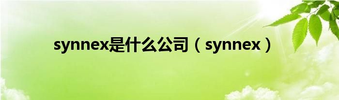 synnex是什么公司（synnex）