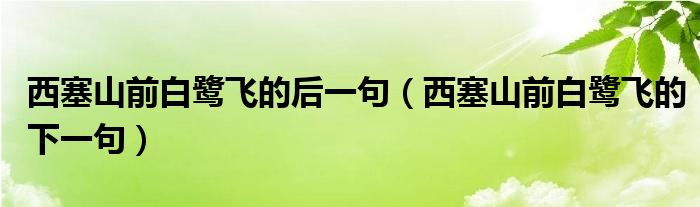 西塞山前白鹭飞的后一句（西塞山前白鹭飞的下一句）