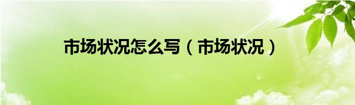 市场状况怎么写（市场状况）