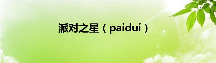 派对之星（paidui）