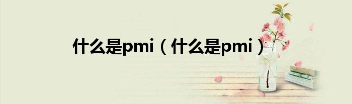 什么是pmi（什么是pmi）