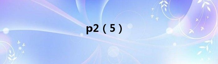 p2（5）