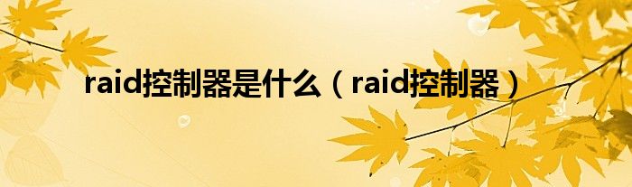 raid控制器是什么（raid控制器）