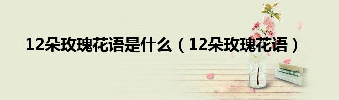 12朵玫瑰花语是什么（12朵玫瑰花语）