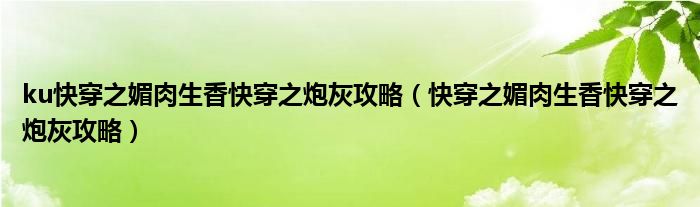 ku快穿之媚肉生香快穿之炮灰攻略（快穿之媚肉生香快穿之炮灰攻略）