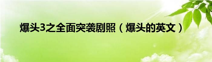 爆头3之全面突袭剧照（爆头的英文）