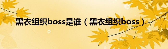 黑衣组织boss是谁（黑衣组织boss）