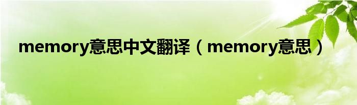 memory意思中文翻译（memory意思）