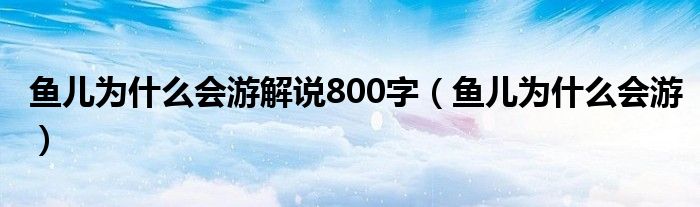 鱼儿为什么会游解说800字（鱼儿为什么会游）