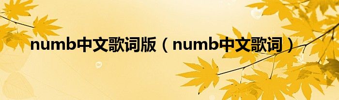 numb中文歌词版（numb中文歌词）