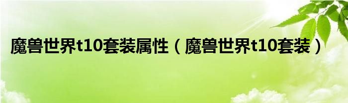 魔兽世界t10套装属性（魔兽世界t10套装）