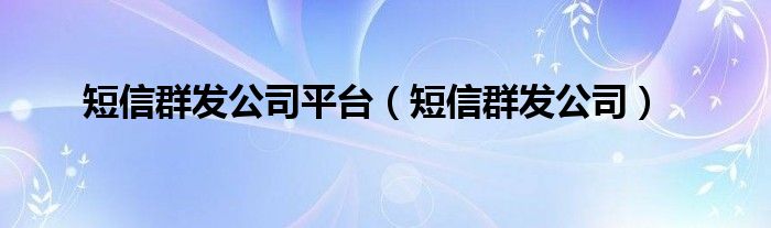 短信群发公司平台（短信群发公司）