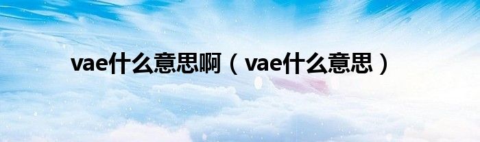 vae什么意思啊（vae什么意思）